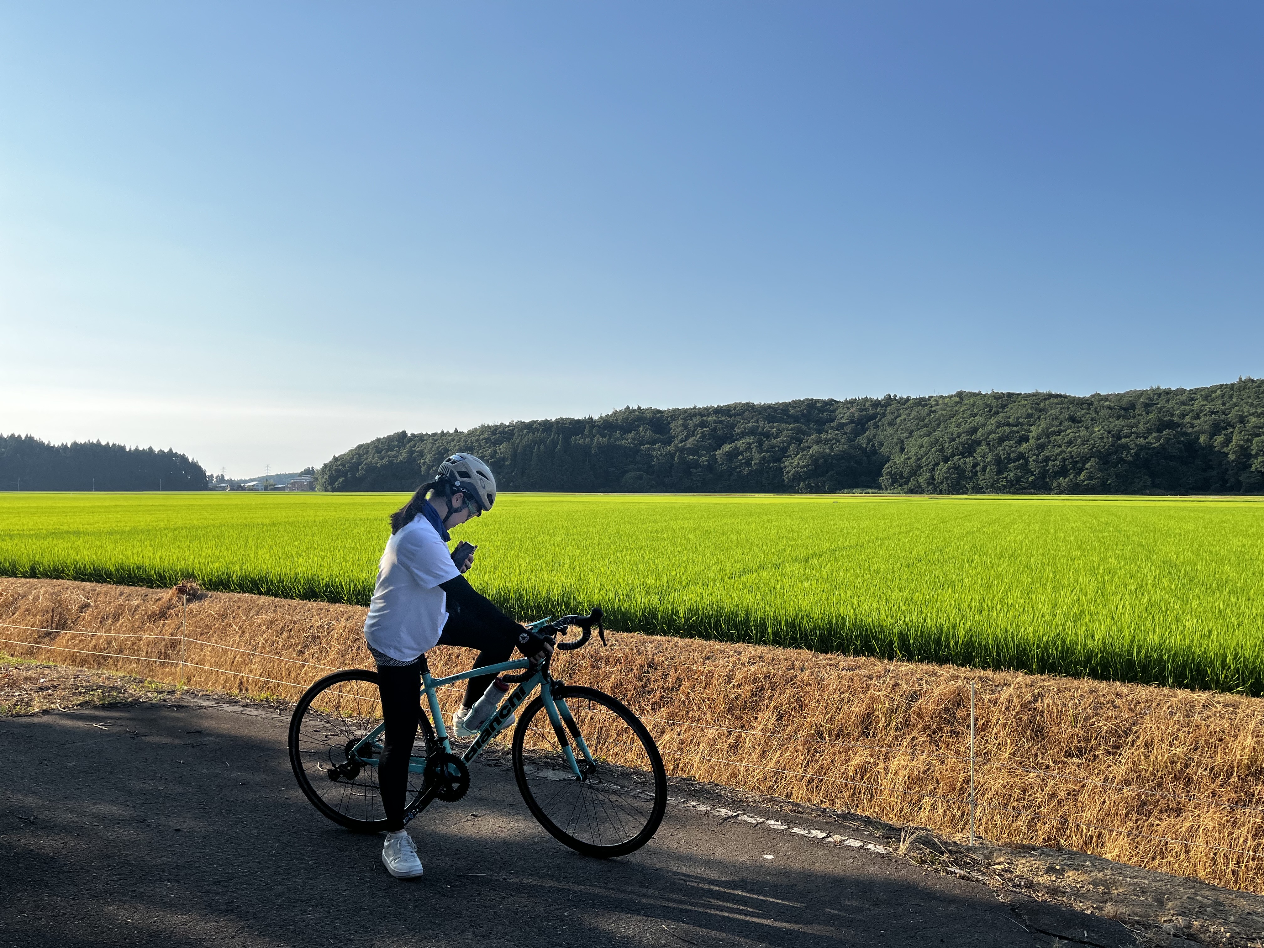 田んぼ風景.jpg